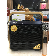 Loa Bluetooth KODA KD-605 Golden (Bass 6.5, 1 Micro, 30W)
