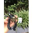 Sạc xe hơi HTC HDC-02