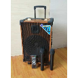 Loa Kéo Di Động F-10 (150W, 2 Micro, Bass 10, 10Kg)