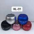 Loa Bluetooth HL-01