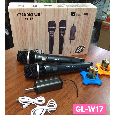 Micro không dây đa năng Guang Le W-17 (2 Mic)