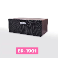 Loa Bluetooth ER-1901
