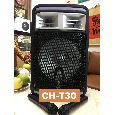 Loa Kéo Di Động Avcrown CH-T30 (Bass 12, 2 Micro, 12Kg)