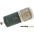 Microphone Vocal SE Gemini II