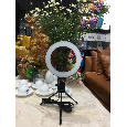Đèn Livestream 20cm + Chân Tripod Mini - Hỗ trợ ánh sáng chụp ảnh ; Make up; Livestream bán hàng Online