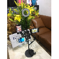 Bộ Giá đỡ Livestream có đèn Led 5 in 1 siêu đẹp