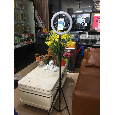 Đèn Led 36cm hỗ trợ ánh sáng livestream (kèm cả chân và kẹp điện thoại)