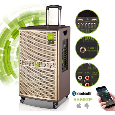 Loa Kéo Di Động SOK NE-507 (Bass 10, 2 Micro, 240W, Nặng 23Kg)