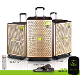 Loa kéo di động SOK NE-509 (Bass 4 tấc, 500W, 30kgs, 2 Micro)