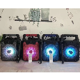 Loa Bluetooth KTS-1107 (Tặng kèm micro)