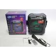 Loa Bluetooth Karaoke CH-821 (Tặng kèm micro)