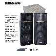 LOA ĐIỆN ĐÔI KARAOKE TEMEISHENG DP-114T CÔNG SUẤT LỚN