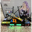 Bộ 2 Micro Không Dây Karaoke SHURE UGX10 II