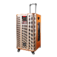 Loa Kéo Di Động QiSheng LX-170 (Bass 10, 2 Micro, 100W)