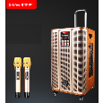 Loa Kéo Di Động QiSheng LX-172 (Bass 12, 2 Micro, 120W)