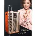 Loa Kéo Di Động QiSheng LX-175 (Bass 15, 2 Micro, 150W)
