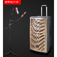 Loa Kéo Di Động QiSheng LX-162 (Bass 12, 2 Micro, 120W)