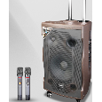Loa Kéo Di Động QiSheng LX-681 (Bass 10, 2 Micro, 100W)
