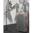 Loa Kéo Di Động QiSheng LX-682 (Bass 12, 2 Micro, 120W)