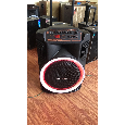 Loa Kéo Di Động SONWO (Bass 4 tấc, 2 Micro)