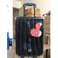 Loa Kéo Di Động Kingwe Q8 (Bass 8, 1 Micro Không Dây)