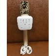 Tosing V2R – Micro Karaoke Bluetooth Cao Cấp