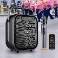 W-King T5 – Loa Karaoke xách tay, công suất 20W, Kèm 1 micro không dây
