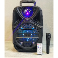 Loa Kéo Di Động DG-1001 (Bass 8, tặng kèm 1 Micro có dây)