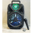 Loa Kéo Di Động DG-1002 (Bass 8, tặng kèm 1 Micro có dây)