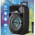 Loa Kéo Di Động Karaoke LT-1516 (Bass 15, 1 Micro)