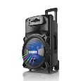 Loa Kéo Di Động Karaoke LT-1206 (Bass 12, 2 Micro)