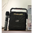 Loa karaoke bluetooth Daile B60 - Kèm 1 Mico Không Dây