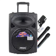 Loa Kéo Di Động Temeisheng DP-107 (Bass 3 tấc, 2 Micro)