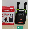Loa Di Động Bluetooth Karaoke ROYALSTAR B11 (Kèm 2 micro không dây)