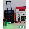 Loa Kéo Di Động Karaoke ROYALSTAR B33 (Kèm 2 micro không dây)
