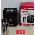 Loa Di Động Bluetooth Karaoke ROYALSTAR B31 (Kèm 2 micro không dây)