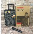 LOA KÉO DI ĐỘNG TEMEISHENG A8-2T (Bass 2 tấc, 1 Micro)