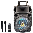 Loa kéo di động Mitsunal T1205 - Bass 30 (kèm 2 micro không dây)