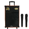 Loa kéo di động Mitsunal T1209 - Bass 30 (kèm 2 micro không dây)