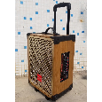 Loa Kéo Di Động AIDELONG K88 (Bass 8 20cm, 1 Micro) 