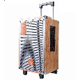 Loa Kéo Di Động FEIYANG QX-0891 (Bass 8, 2 Micro, 120W)