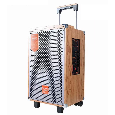 Loa Kéo Di Động FEIYANG QX-1091 (Bass 10, 2 Micro, 150W)