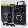 Loa Di Động Bluetooth Karaoke BK-1090D mini (Kèm Micro)