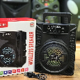 Loa Di Động Bluetooth LZ-4109