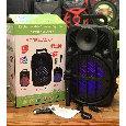 Loa Kéo Di Động AO-818 (Bass 8, 1 Micro có dây)