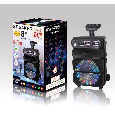 Loa Kéo Di Động DS-1814 Plus (Bass 8, 1 micro có dây)