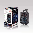 Loa Kéo Di Động DS-1201 (Bass 12, 1 micro có dây)