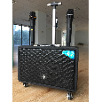 Loa Di Động Bluetooth Karaoke Haiyinluo HL-525 (2 Micro)