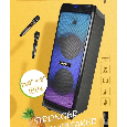 Loa Di Động Karaoke ASPOR A621 (Bass đôi 8x2, 2 Micro, 180W)