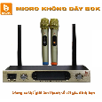 Bộ 2 Micro Không Dây BOK HA29